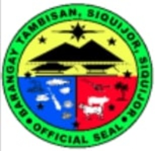 Municipality of Siquijor, Barangay Tambisan